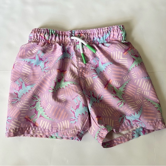 Cat & Jack Swim Shorts Trunks Lot Of 3 Size 4T Dinosaur Smiley Face Checker - Picture 8 of 16